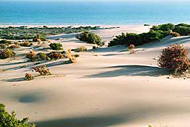 Patara Beach